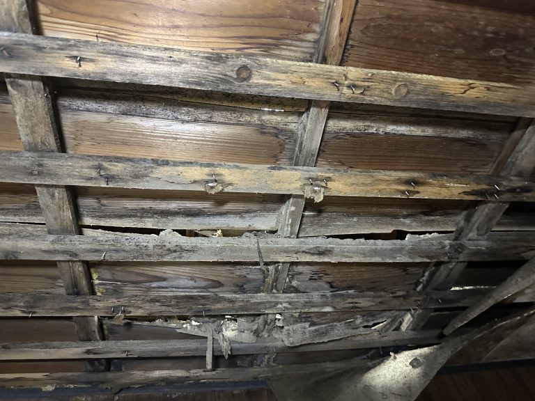 detached 美濃市小倉